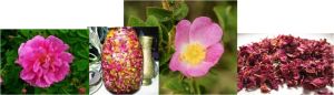 roses for skin care