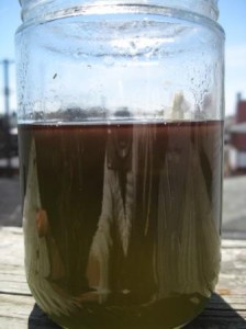 violet oil