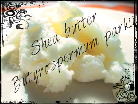 Shea Butter Benefits: Luxuriant Care for the Skin | Wildly Natural Skin Care