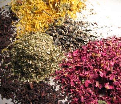 Herbal Skin Care for Radiant Beauty | Wildly Natural Skin Care